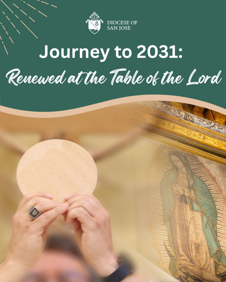 Liturgical Renewal: Renewed at the Table of the Lord